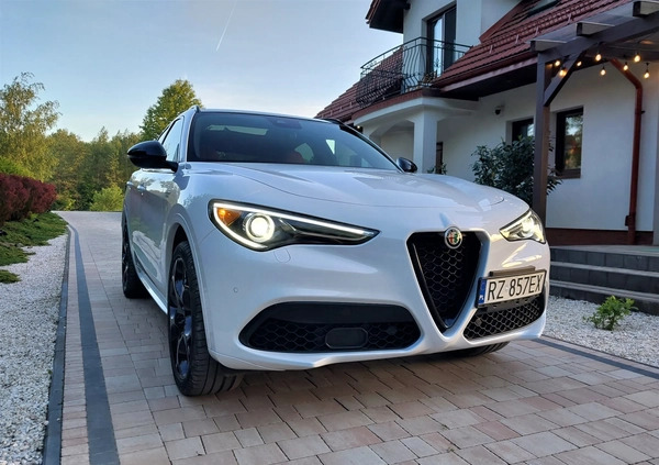 Alfa Romeo Stelvio cena 189000 przebieg: 11000, rok produkcji 2023 z Rzeszów małe 667